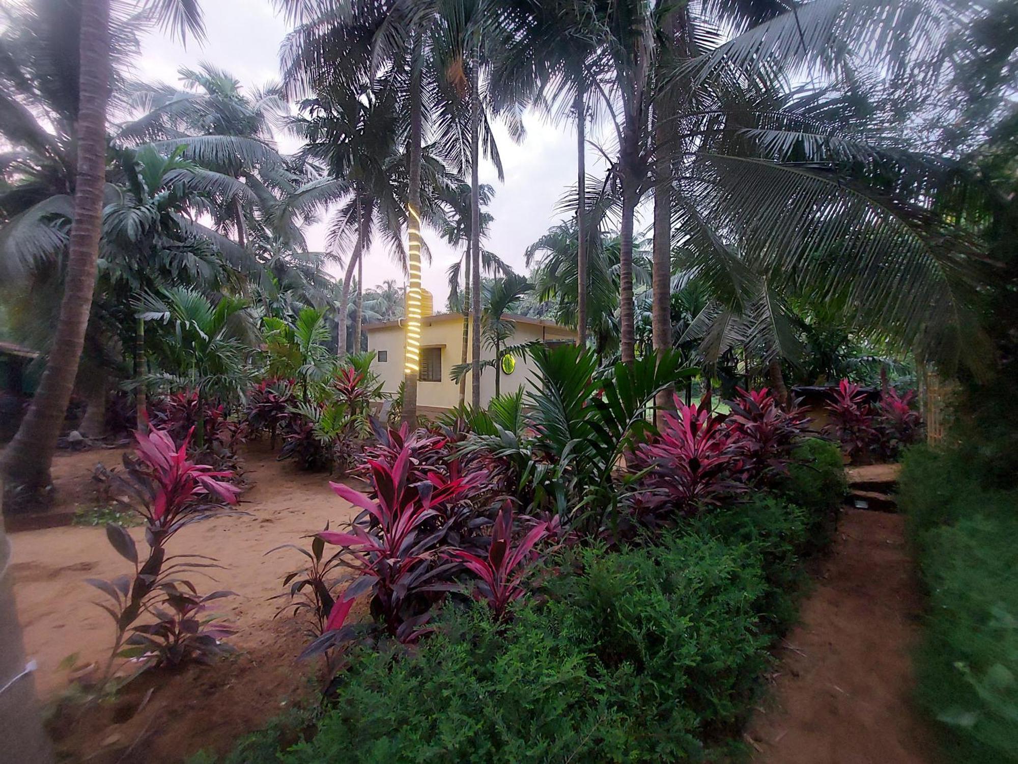 Areca Nest Gokarna (Karnataka) Exterior foto