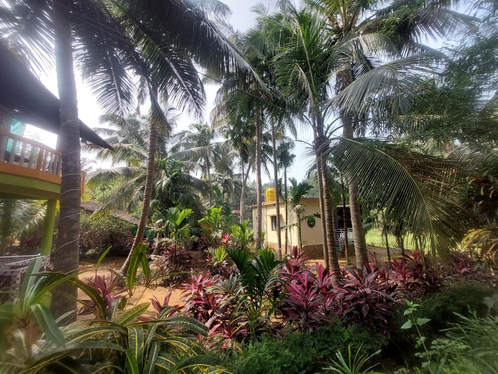 Areca Nest Gokarna (Karnataka) Exterior foto